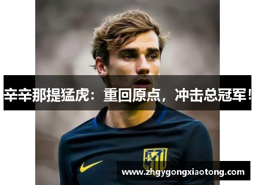 辛辛那提猛虎：重回原点，冲击总冠军！